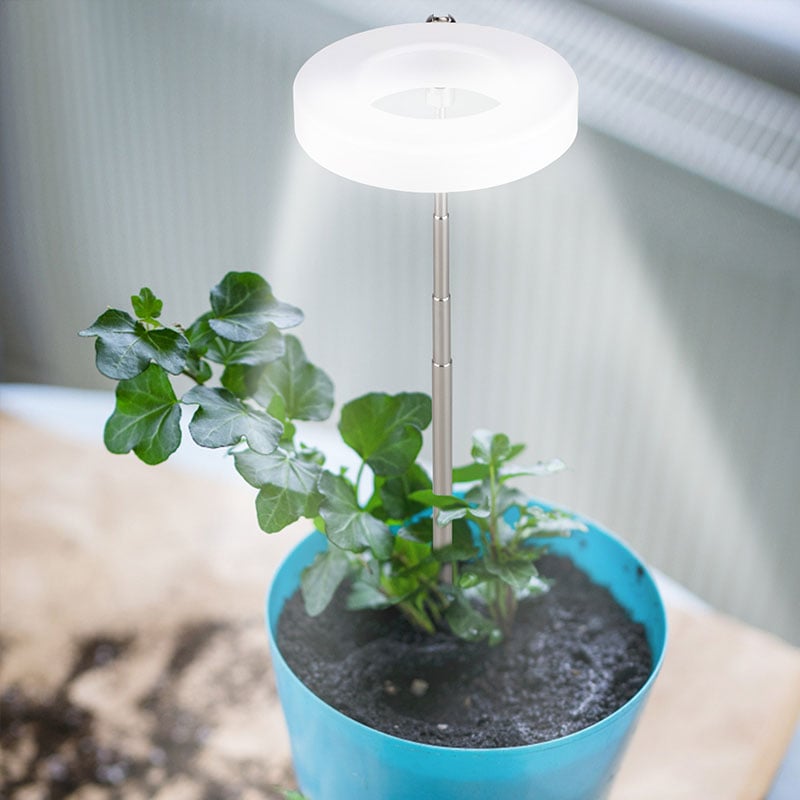 Indoor Plant Growth Light