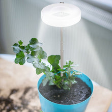 Load image into Gallery viewer, Indoor Plant Growth Light