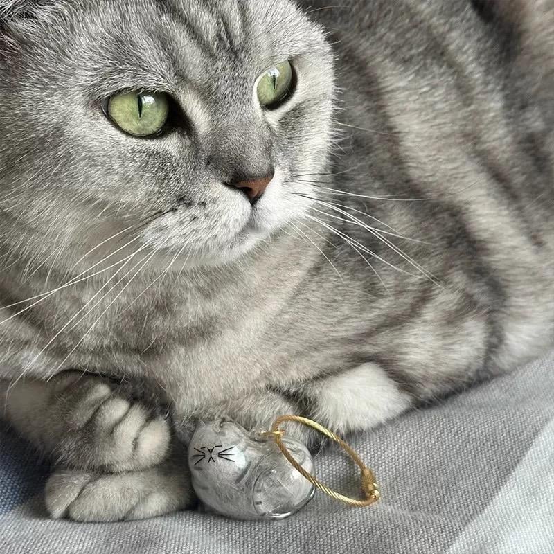 Cat Fur Keepsake Keychain – Transparent Memory Pendant for Pet Hair Storage