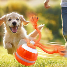 Load image into Gallery viewer, Interactive Smart Rolling Pet Ball