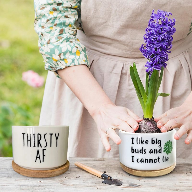 Funny Unique Succulent Pots