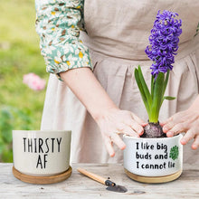 Load image into Gallery viewer, Funny Unique Succulent Pots