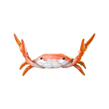 Load image into Gallery viewer, 🦀 Crab Weightlifting Pen Holder