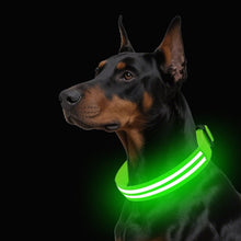 Load image into Gallery viewer, Dual Fiber Nighttime Luminous Dog Collar