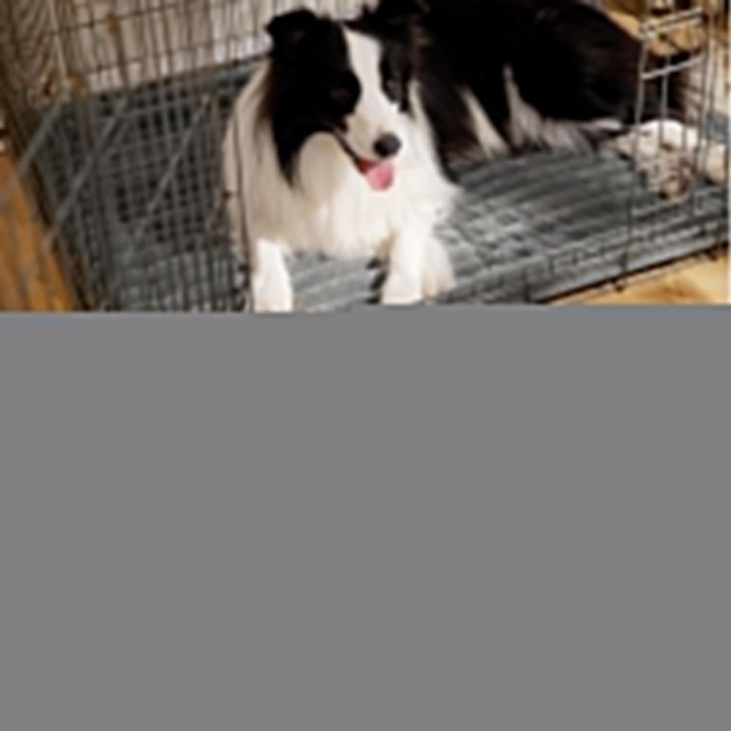 Sakerplus Self Warming Thermal Pet Bed Mat