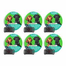 Load image into Gallery viewer, 12 Months Flea and Tick Free