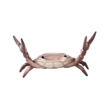 Load image into Gallery viewer, 🦀 Crab Weightlifting Pen Holder