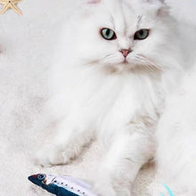 Load image into Gallery viewer, Realistic Flopping Fish Cat Toy