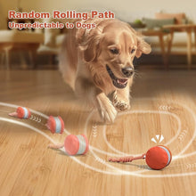 Load image into Gallery viewer, Interactive Dog Toys