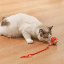 Load image into Gallery viewer, Indoor Cat Interactive Ball