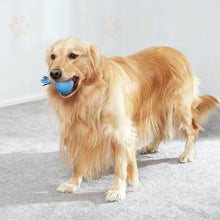 Load image into Gallery viewer, Interactive Dog Toys