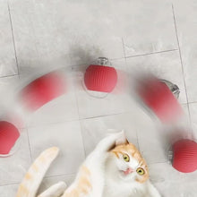 Load image into Gallery viewer, Indoor Cat Interactive Ball
