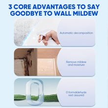Load image into Gallery viewer, Fast Acting Anti-Mold Wall Cleaner Spray