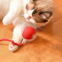 Load image into Gallery viewer, Indoor Cat Interactive Ball