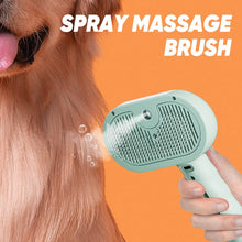 Load image into Gallery viewer, 3 in 1 Spray Cat Brush