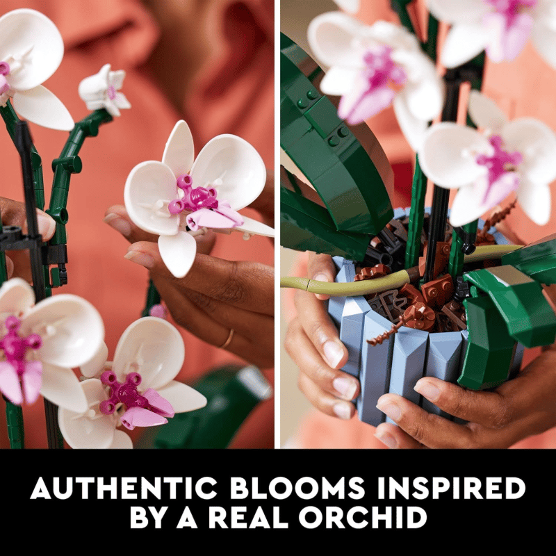3D preserved flower assembly toy