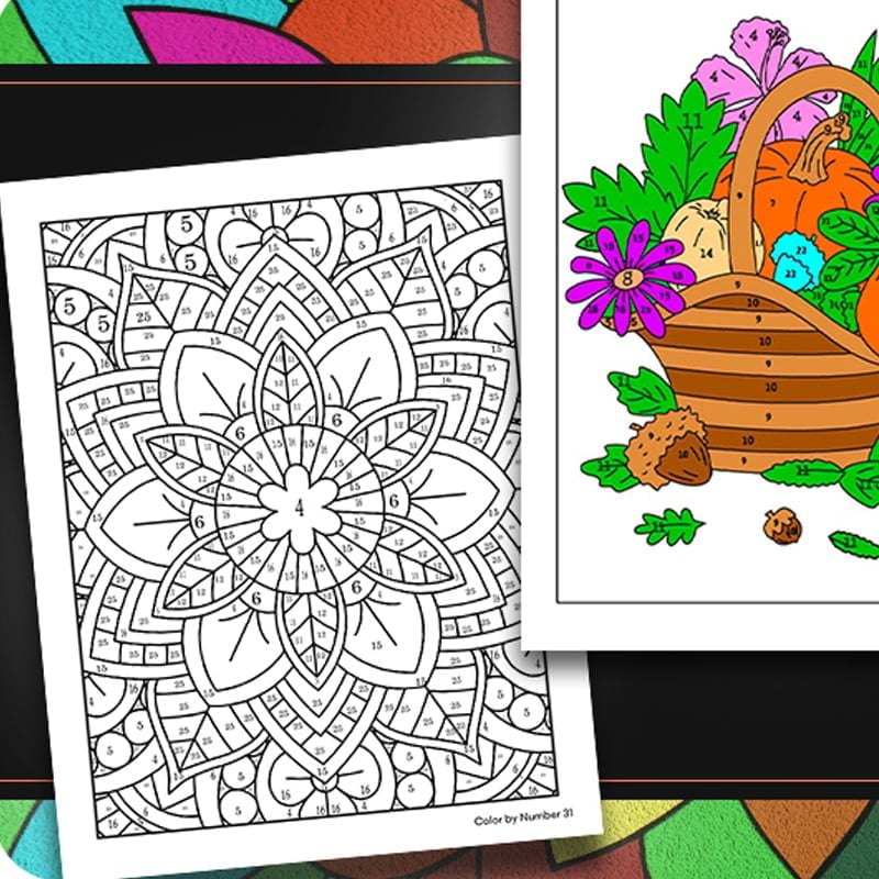 Color By Number Coloring Book for Adults