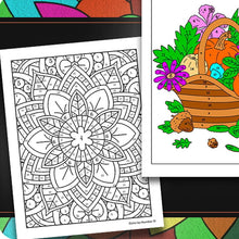 Load image into Gallery viewer, Color By Number Coloring Book for Adults