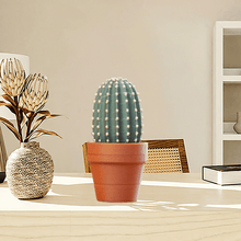Load image into Gallery viewer, Potted Plant Stress Relief Toy