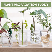 Load image into Gallery viewer, Plant Propagation Buddy