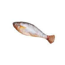 Load image into Gallery viewer, Realistic Flopping Fish Cat Toy
