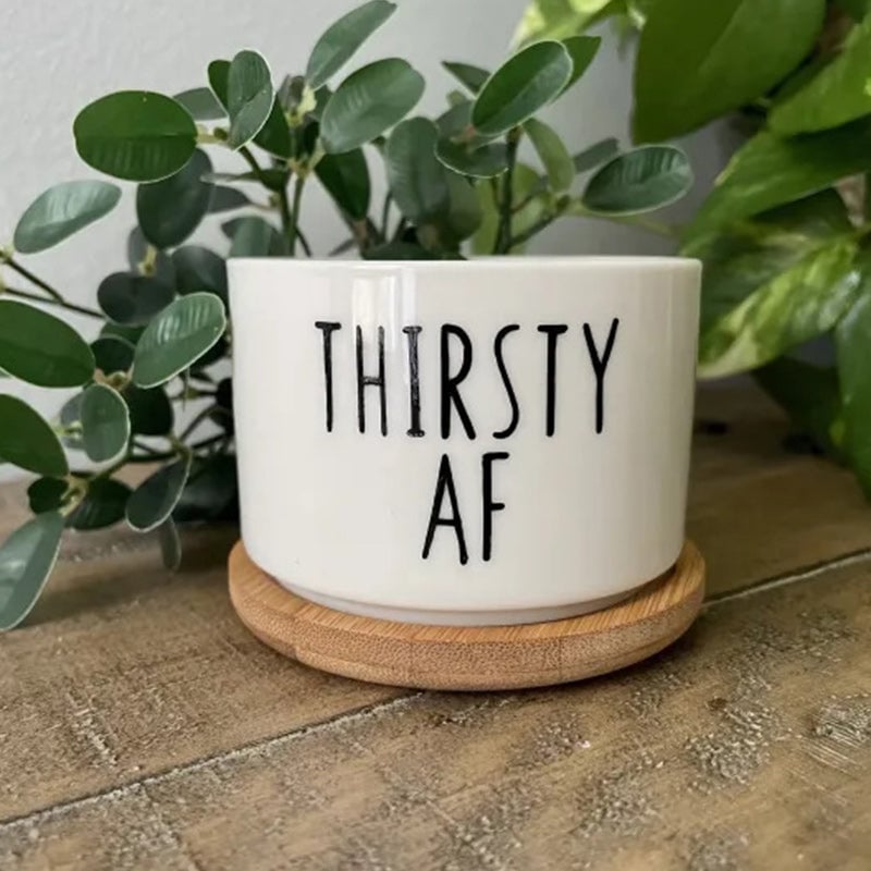 Funny Unique Succulent Pots