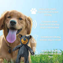 Load image into Gallery viewer, Mighty Bear Pet Toy