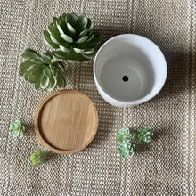 Load image into Gallery viewer, Funny Unique Succulent Pots