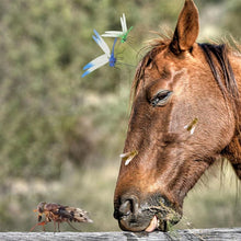 Load image into Gallery viewer, Simulation stick dragonfly clip