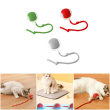 Load image into Gallery viewer, Indoor Cat Interactive Ball
