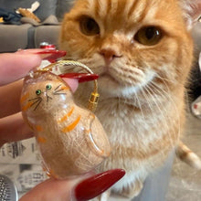 Load image into Gallery viewer, Cat Fur Keepsake Keychain – Transparent Memory Pendant for Pet Hair Storage