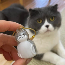 Load image into Gallery viewer, Cat Fur Keepsake Keychain – Transparent Memory Pendant for Pet Hair Storage