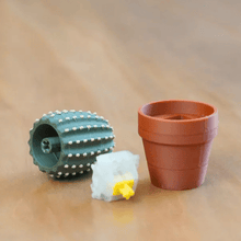 Load image into Gallery viewer, Potted Plant Stress Relief Toy