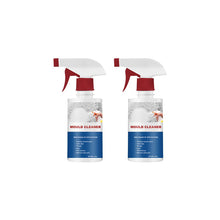 Load image into Gallery viewer, Mildew Cleaner Foam