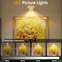 Load image into Gallery viewer, Picture Lights For Wall With 3 Color Temps - 3 Pack