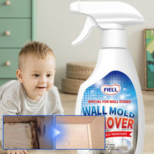 Load image into Gallery viewer, Fast Acting Anti-Mold Wall Cleaner Spray