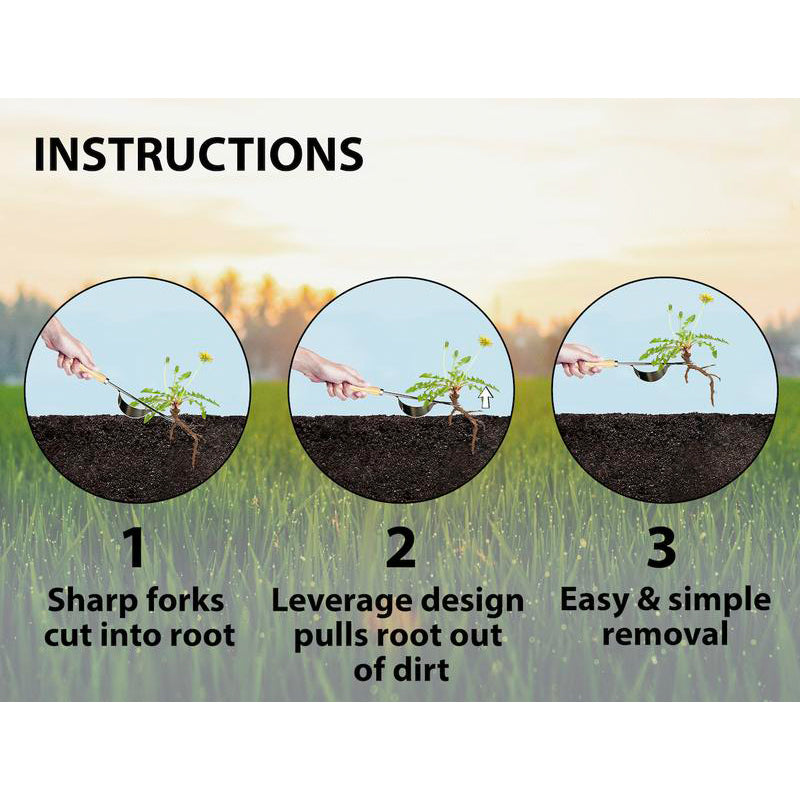 Weeder Tool