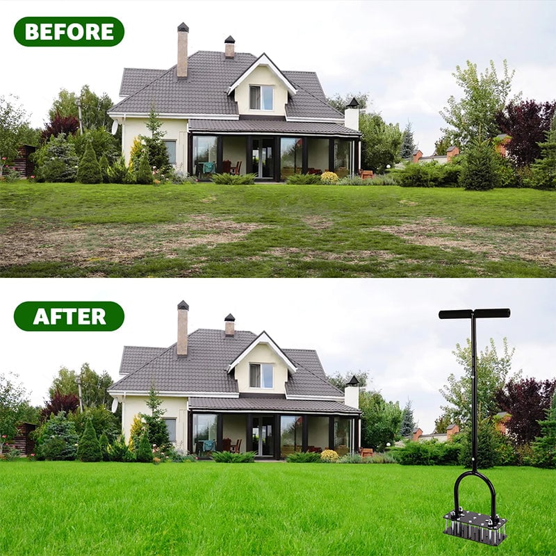 Improve Soil Health and Lawn Growth