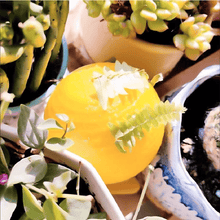 Load image into Gallery viewer, Yellow sticky insect ball