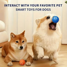 Load image into Gallery viewer, Electric Rolling Pet Toy Ball