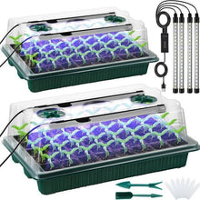 Load image into Gallery viewer, Seed Starter Tray with Grow Light,2 Pack 80 Cells