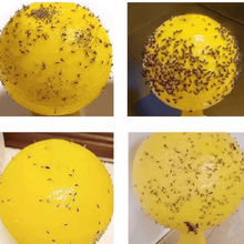 Load image into Gallery viewer, Yellow sticky insect ball