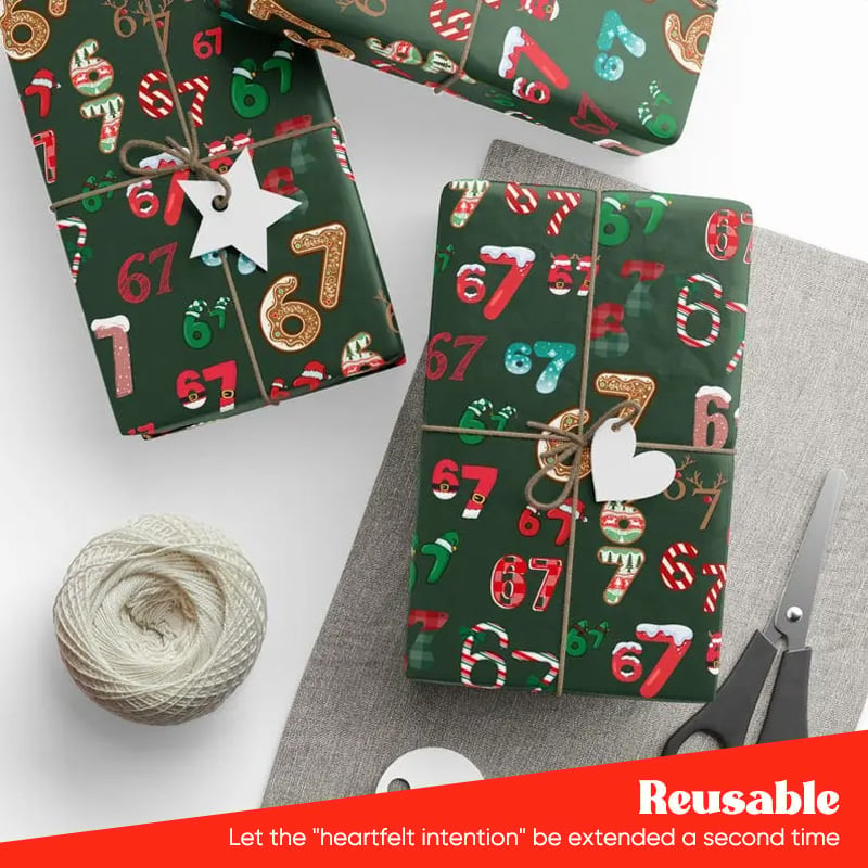 Funny Christmas Gift Wrap