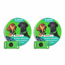 Load image into Gallery viewer, 12 Months Flea and Tick Free