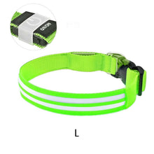 Load image into Gallery viewer, Dual Fiber Nighttime Luminous Dog Collar
