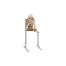 Load image into Gallery viewer, Creative Skeleton Skull Decor