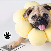 Load image into Gallery viewer, New Pet Paw Printing Kit