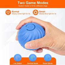 Load image into Gallery viewer, Indoor Cat Interactive Ball