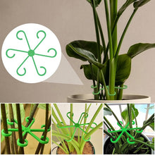 Load image into Gallery viewer, Monstera support retainer sets