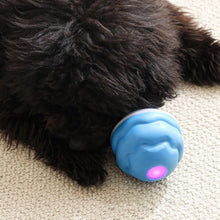 Load image into Gallery viewer, Interactive Smart Rolling Pet Ball